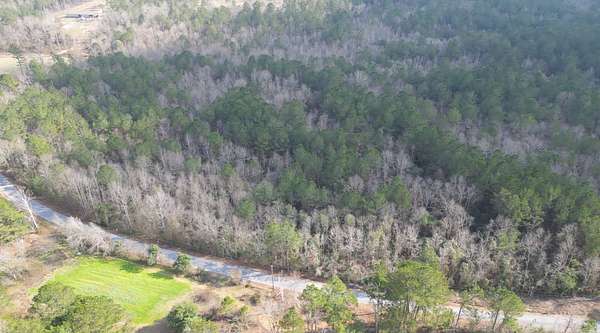 30 Acres of Recreational Land for Sale in Magee, Mississippi