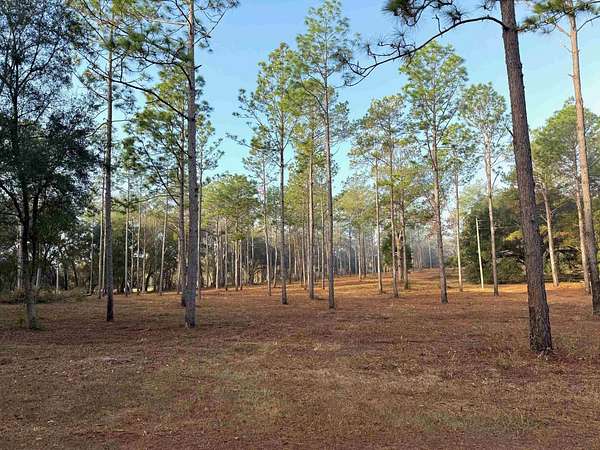 29.5 Acres of Agricultural Land for Sale in Tallahassee, Florida