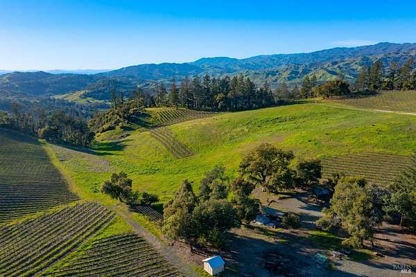66.7 Acres of Agricultural Land for Sale in Calistoga, California