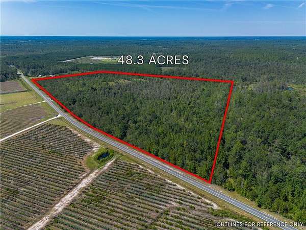 48.3 Acres of Land for Sale in Baxley, Georgia