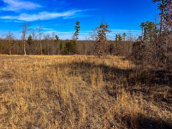 80 Acres of Recreational Land for Sale in Hartshorn, Missouri