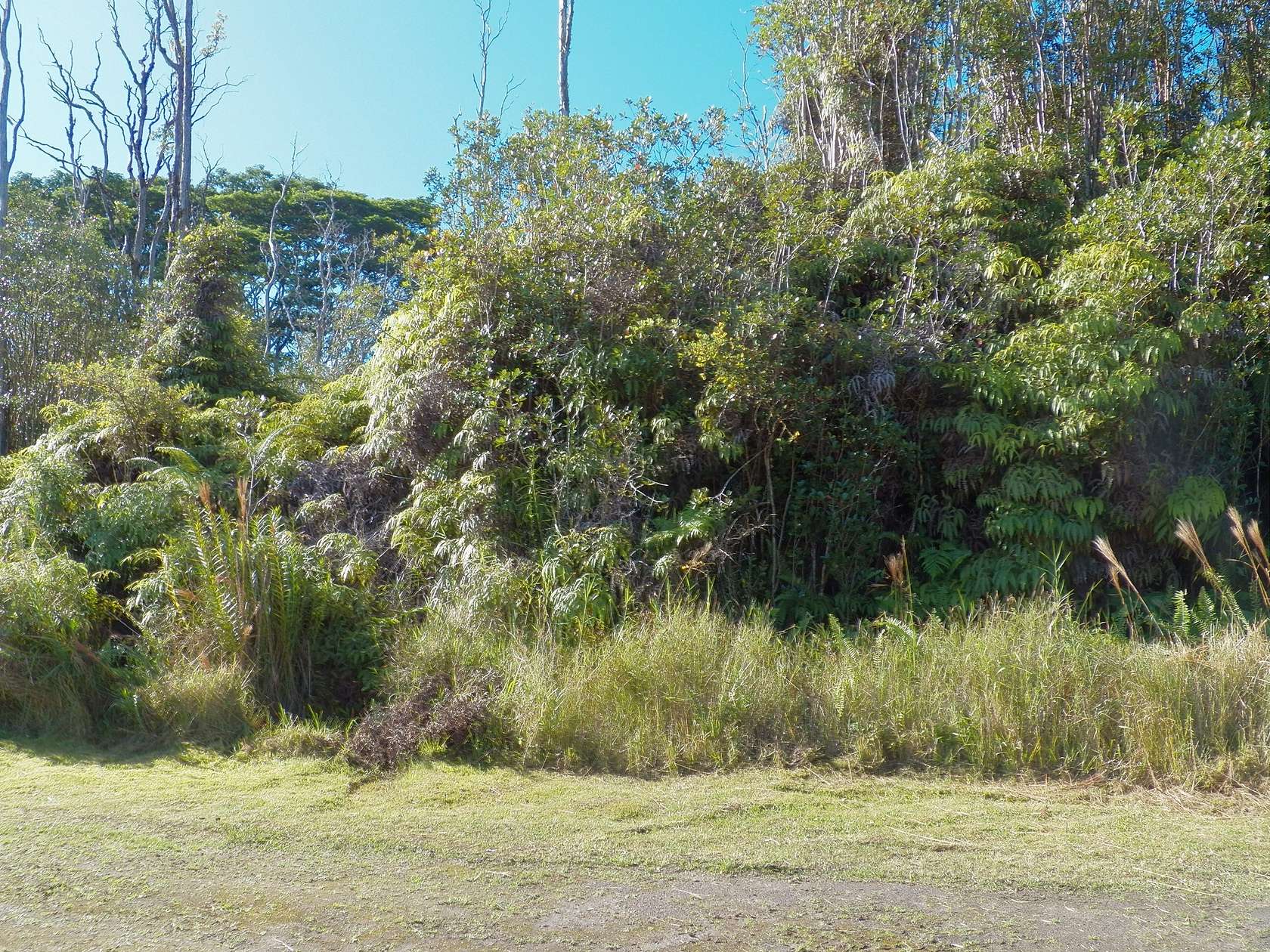 0.19 Acres of Residential Land for Sale in Mountain View, Hawaii