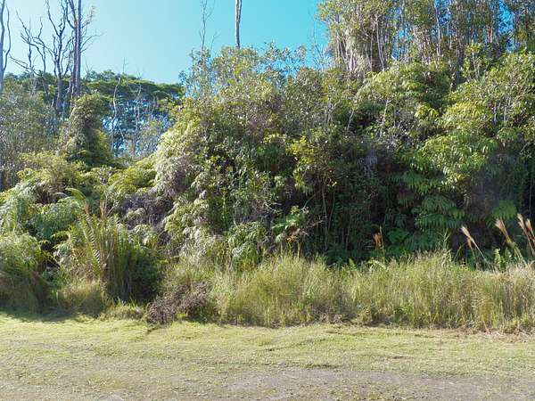 0.19 Acres of Residential Land for Sale in Mountain View, Hawaii