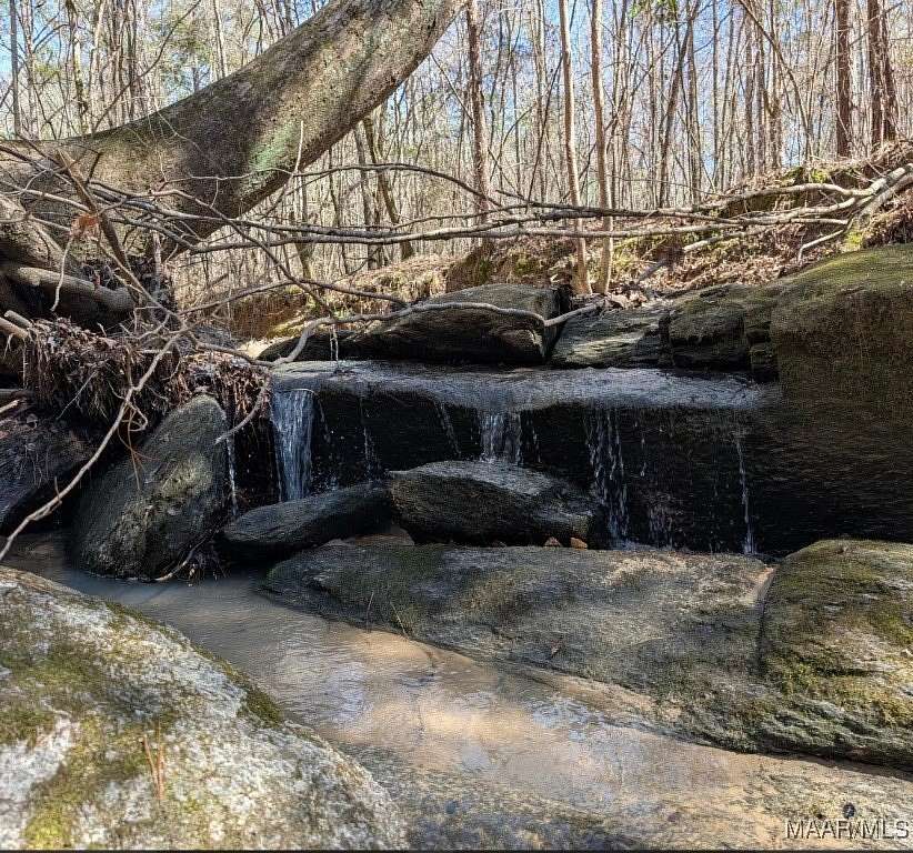 84 Acres of Recreational Land for Sale in Eclectic, Alabama