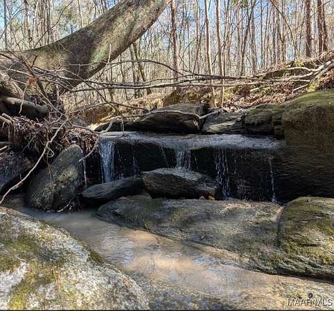 84 Acres of Recreational Land for Sale in Eclectic, Alabama