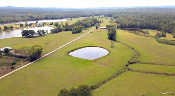 10.8 Acres of Land for Sale in Eclectic, Alabama