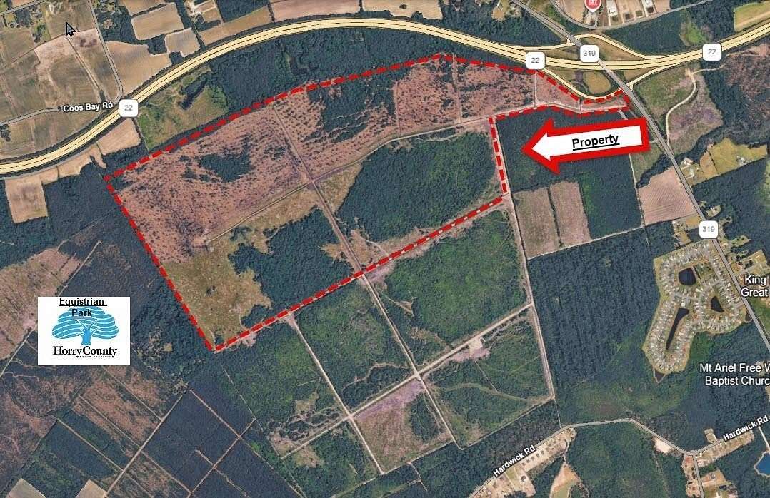 446 Acres of Land for Sale in Aynor, South Carolina