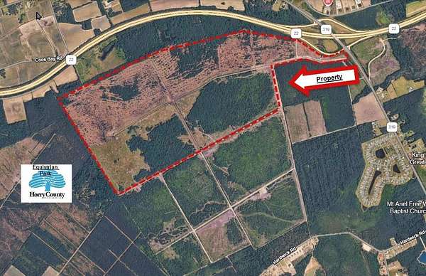 446 Acres of Recreational Land & Farm for Sale in Aynor, South Carolina