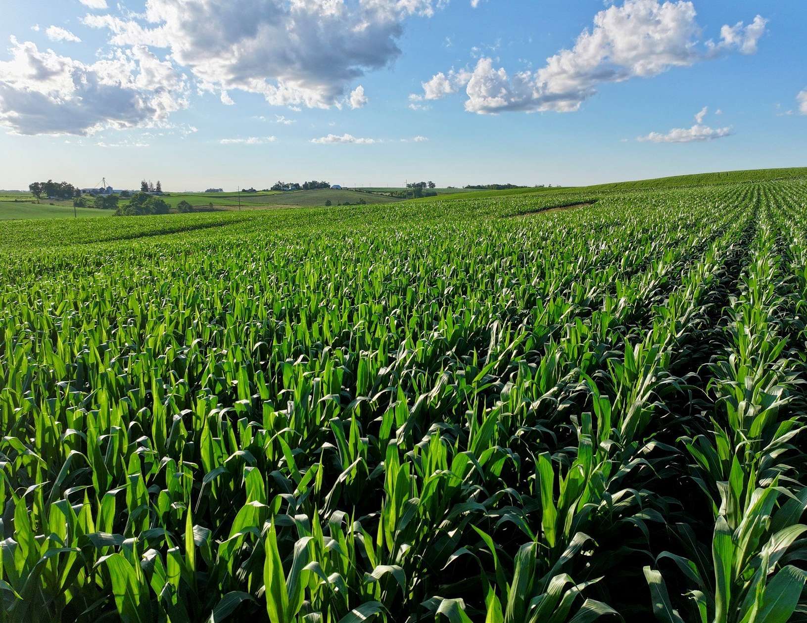 276 Acres of Recreational Land & Farm for Auction in Newton, Iowa