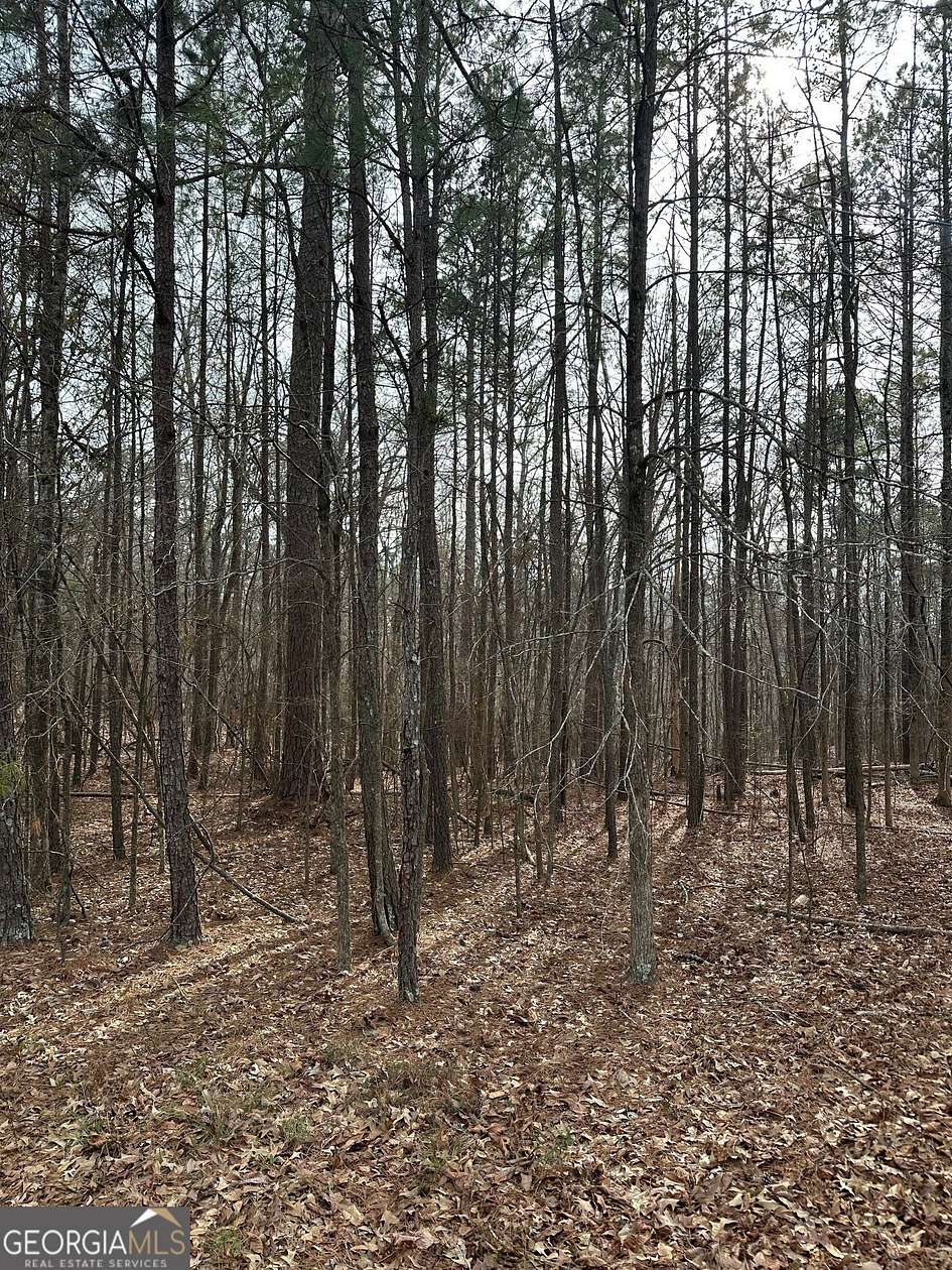 20.6 Acres of Recreational Land for Sale in Jackson, Georgia