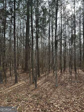 20.6 Acres of Recreational Land for Sale in Jackson, Georgia
