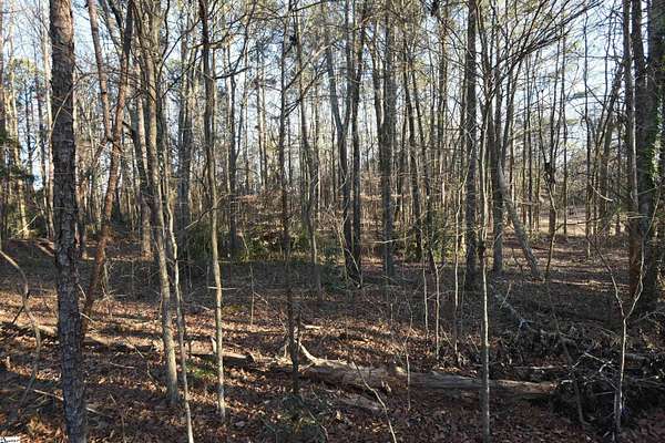 0.66 Acres of Residential Land for Sale in Laurens, South Carolina