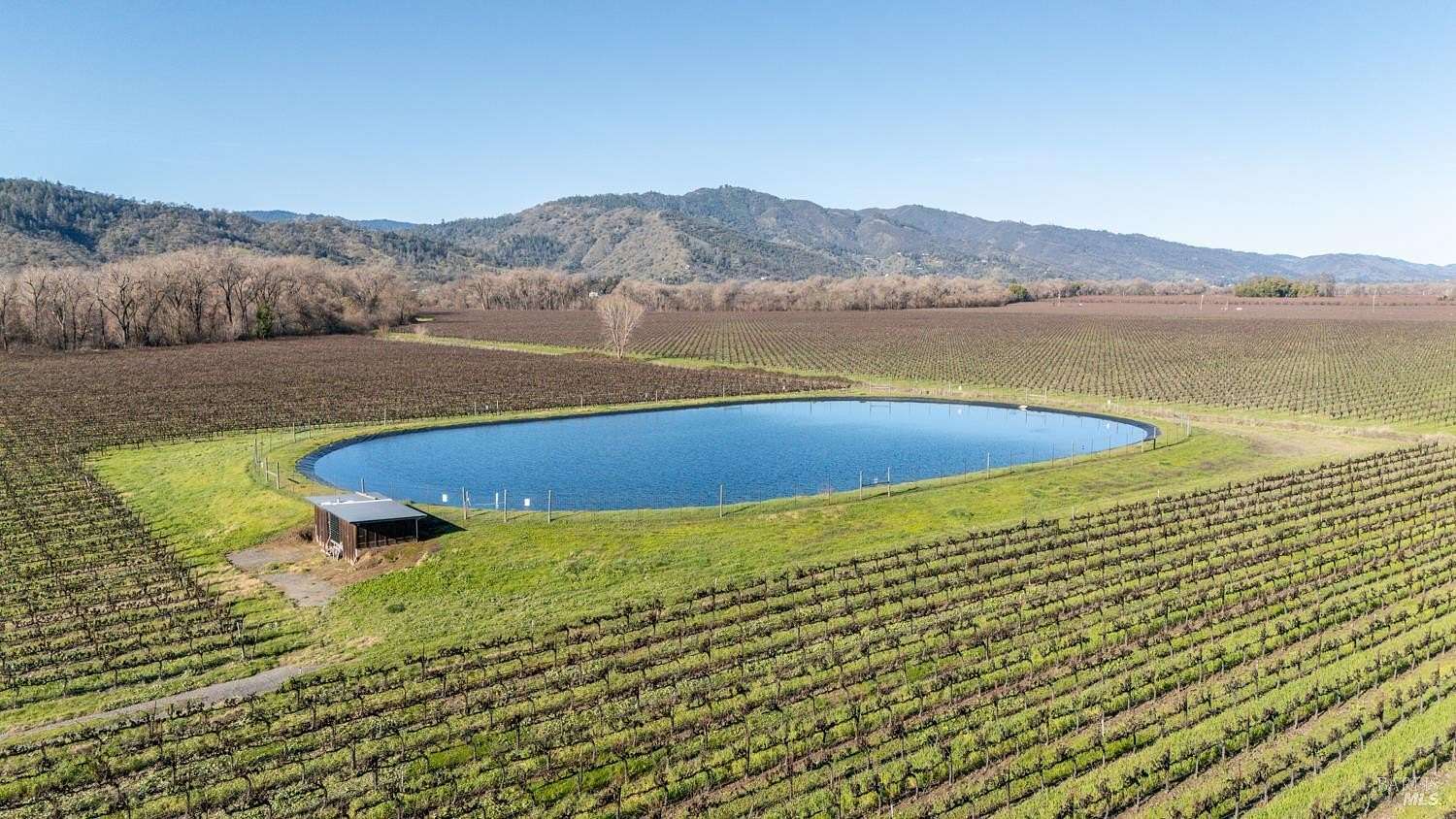 75.5 Acres of Agricultural Land for Sale in Ukiah, California