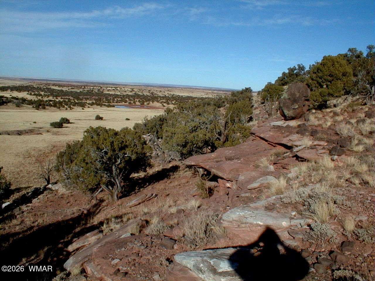 38.2 Acres of Recreational & Residential Land for Sale in Concho, Arizona