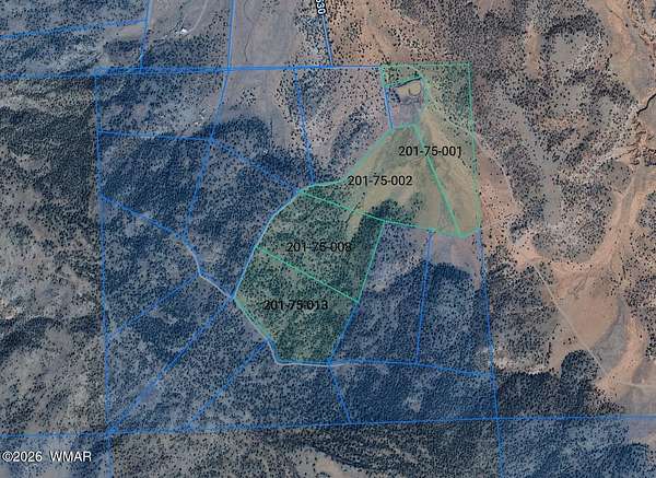 150 Acres of Recreational Land for Sale in Concho, Arizona