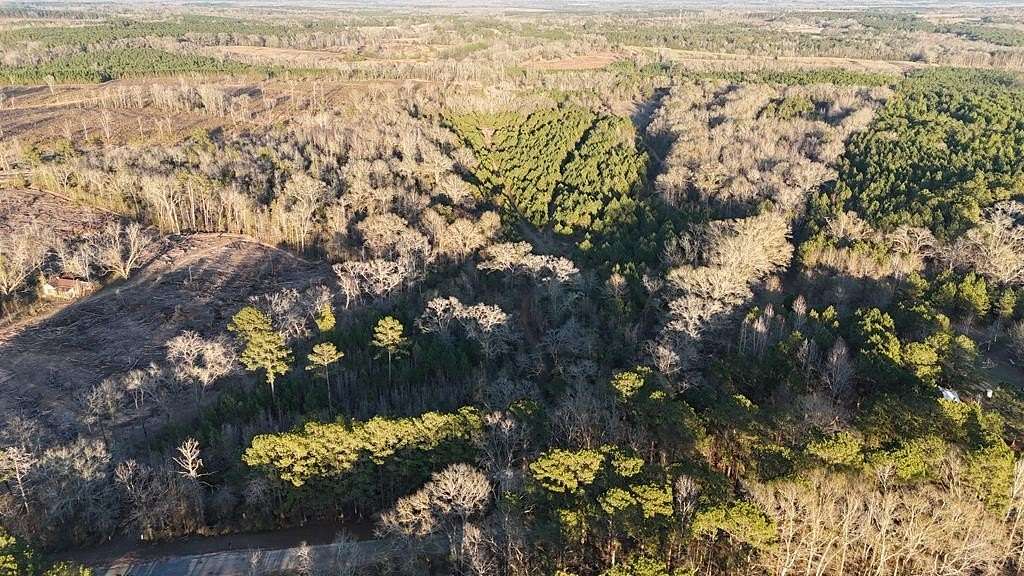 76 Acres of Recreational Land for Sale in Clopton, Alabama