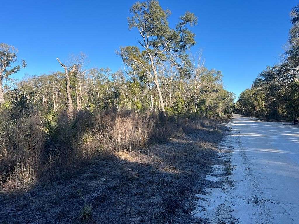 5 Acres of Residential Land for Sale in Old Town, Florida