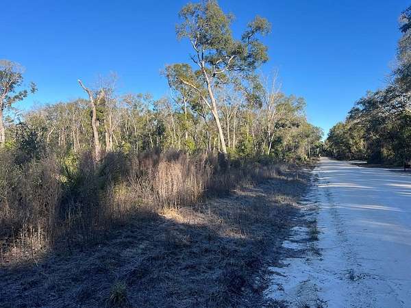 5 Acres of Residential Land for Sale in Old Town, Florida