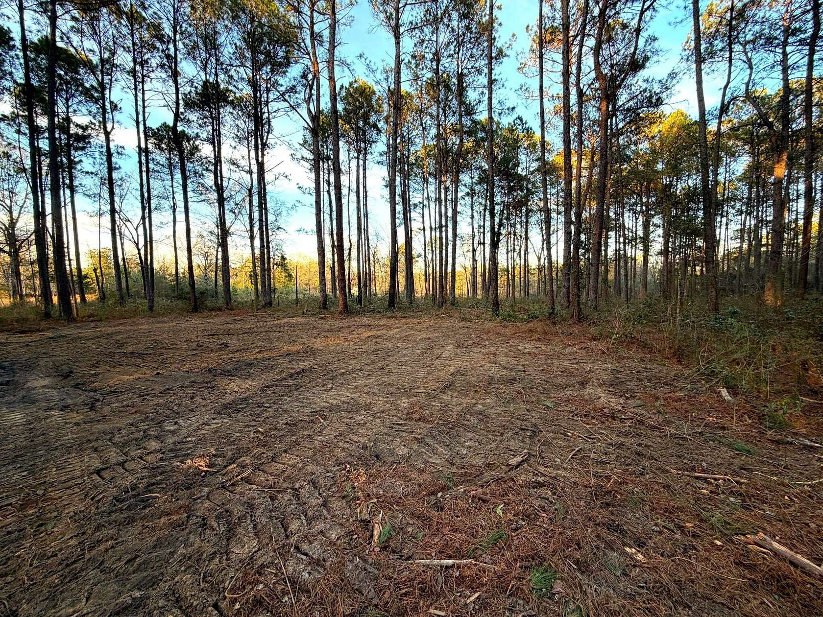 12.1 Acres of Recreational Land for Sale in Poplarville, Mississippi