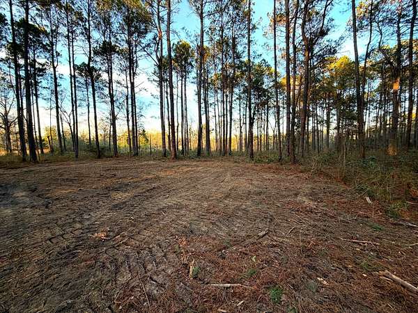 12.1 Acres of Recreational Land for Sale in Poplarville, Mississippi