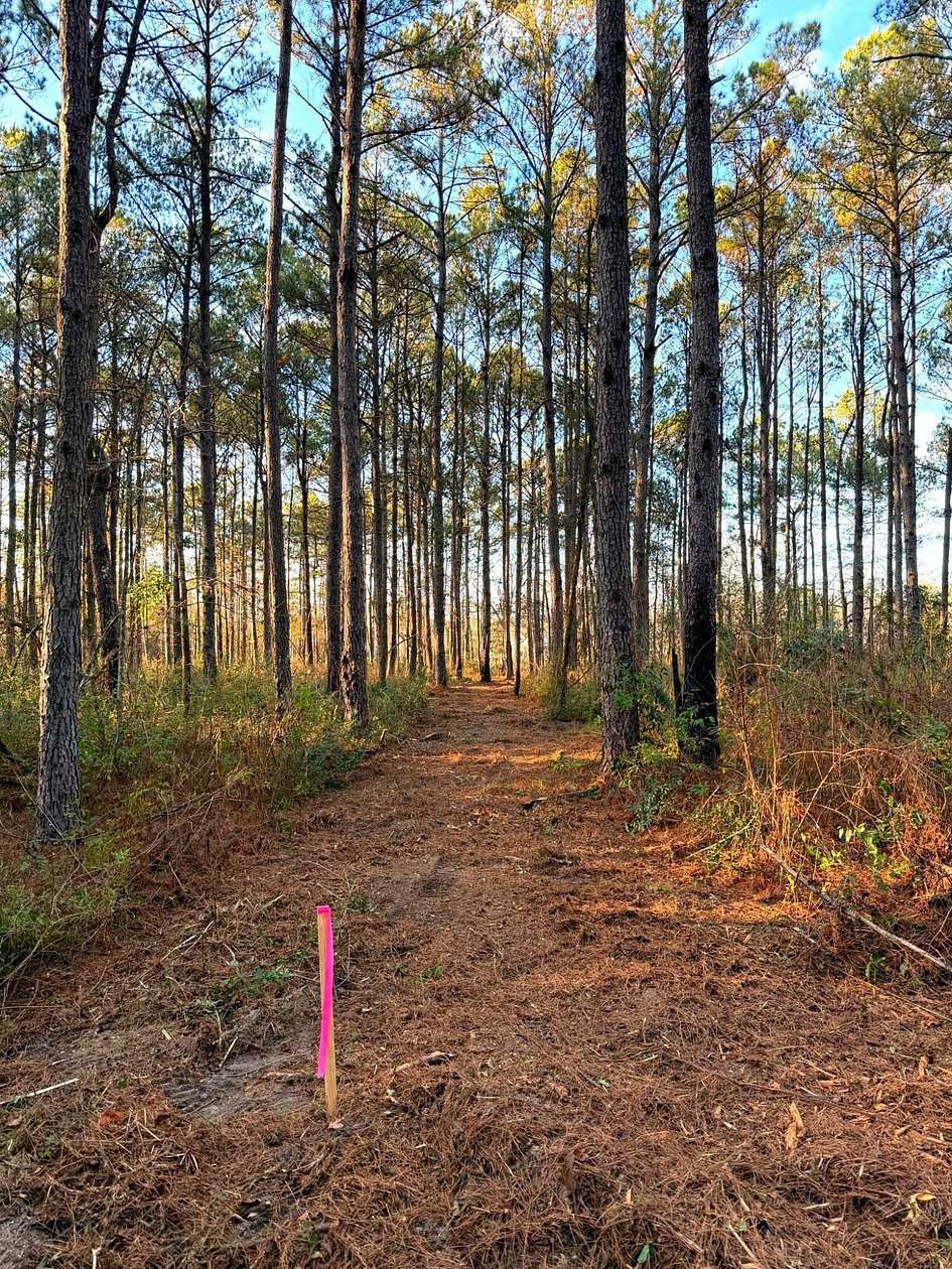 13.6 Acres of Recreational & Residential Land for Sale in Poplarville, Mississippi
