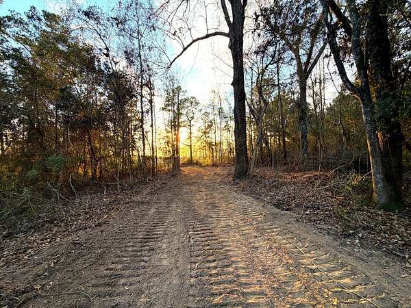 18 Acres of Recreational Land for Sale in Poplarville, Mississippi