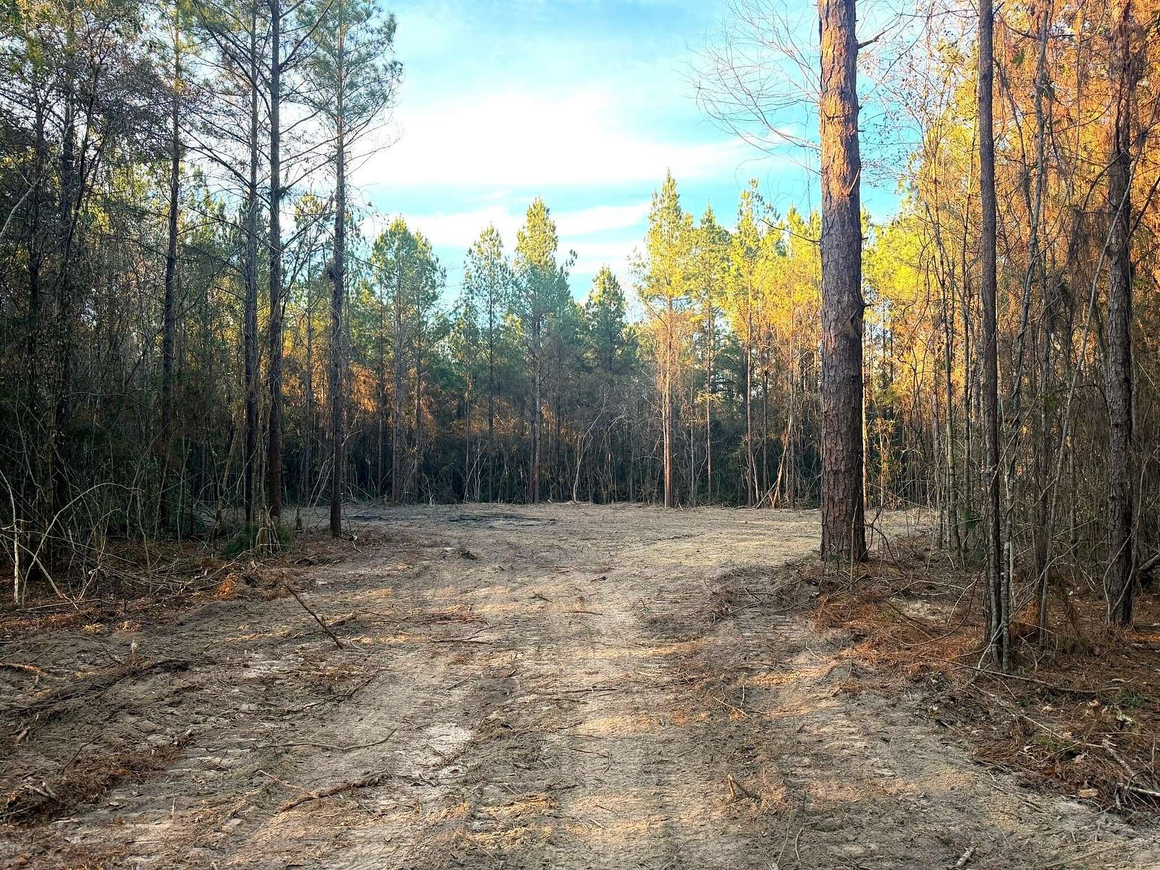 43.4 Acres of Recreational Land for Sale in Poplarville, Mississippi