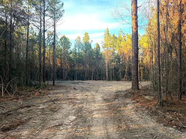 43.4 Acres of Recreational Land for Sale in Poplarville, Mississippi