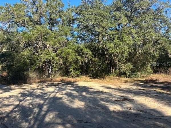 0.34 Acres of Residential Land for Sale in Ocala, Florida