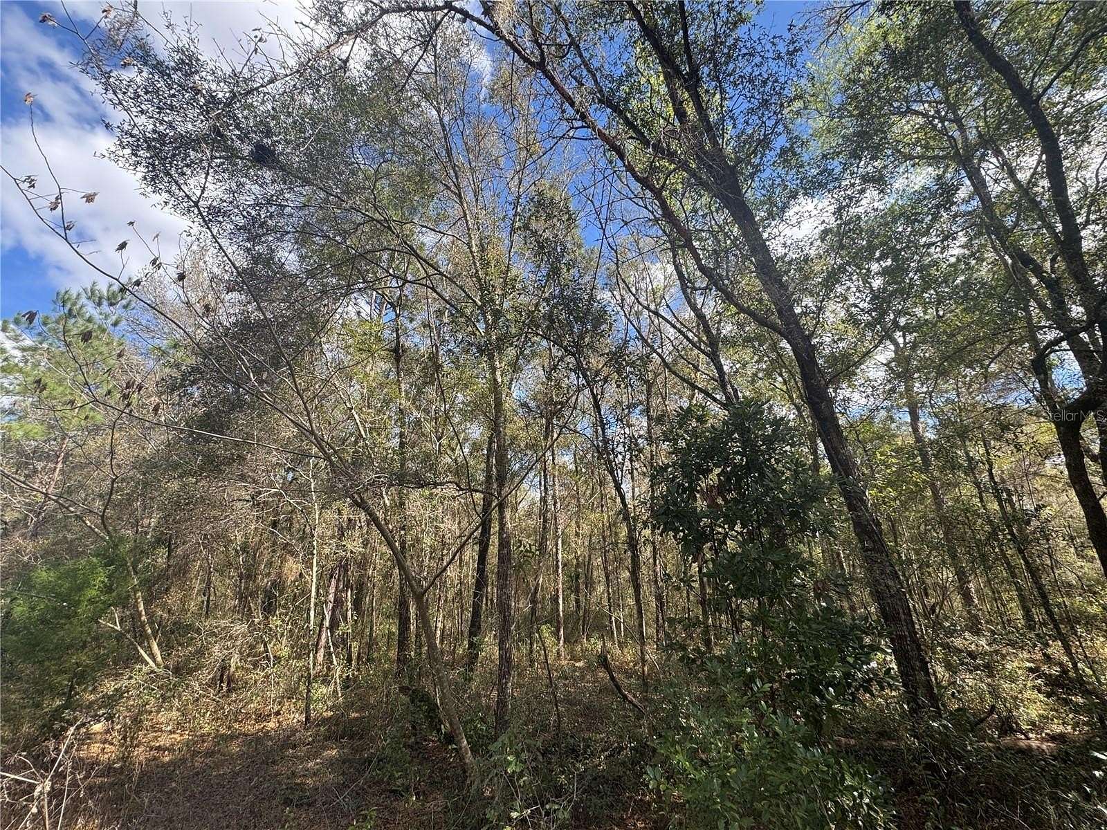 0.23 Acres of Land for Sale in Williston, Florida