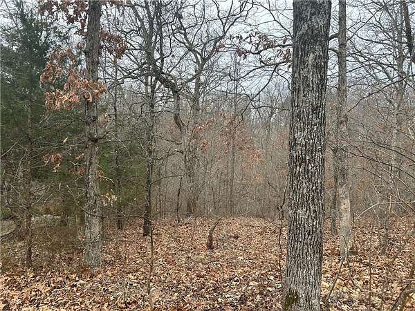 0.35 Acres of Land for Sale in Bella Vista, Arkansas