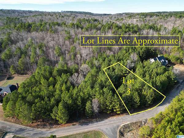 0.39 Acres of Mixed-Use Land for Sale in Pell City, Alabama