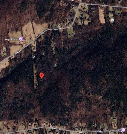 11.2 Acres of Land for Sale in Vestal, New York
