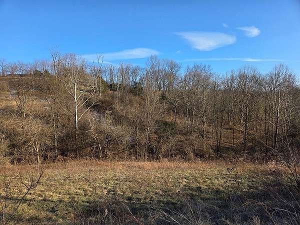 8 Acres of Land for Sale in Ewing, Kentucky