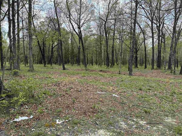 7.5 Acres of Residential Land for Sale in Austin, Arkansas