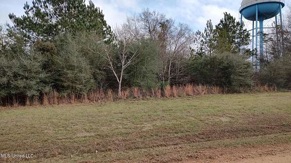 0.4 Acres of Residential Land for Sale in Lumberton, Mississippi