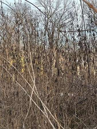 0.5 Acres of Commercial Land for Sale in Davis, Oklahoma