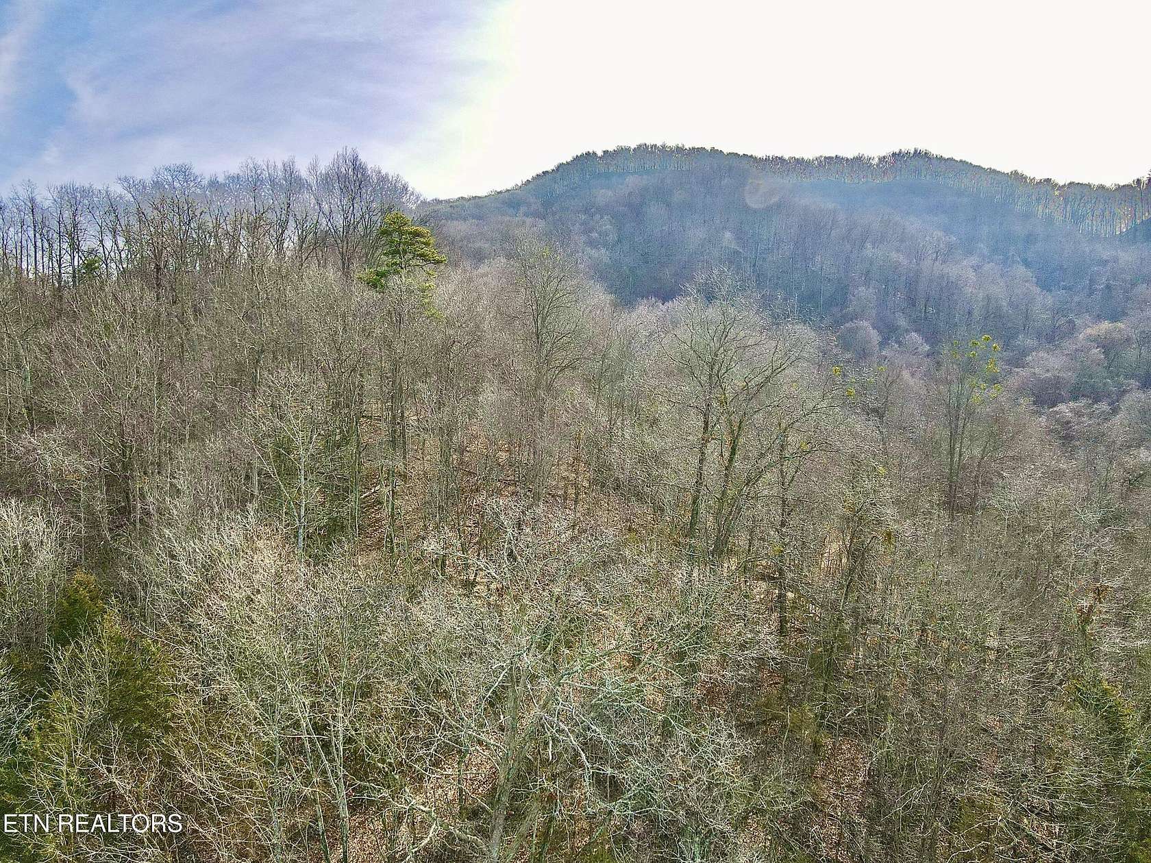 45.4 Acres of Recreational Land for Sale in Thorn Hill, Tennessee