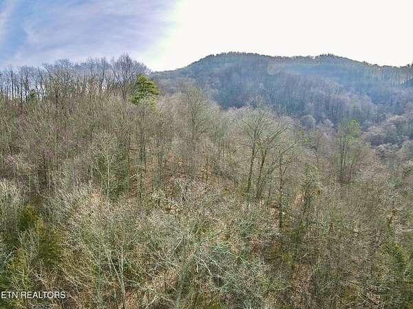 45.4 Acres of Recreational Land for Sale in Thorn Hill, Tennessee