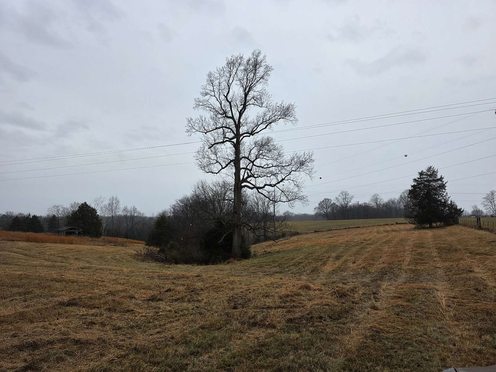 2 Acres of Land for Sale in Lafayette, Tennessee