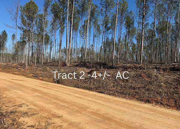 4 Acres of Land for Auction in Wedowee, Alabama