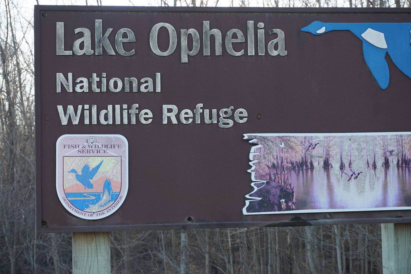 375 Acres of Recreational Land for Sale in Marksville, Louisiana