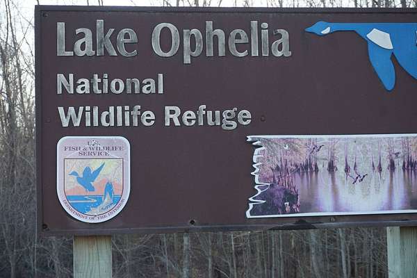 375 Acres of Recreational Land for Sale in Marksville, Louisiana