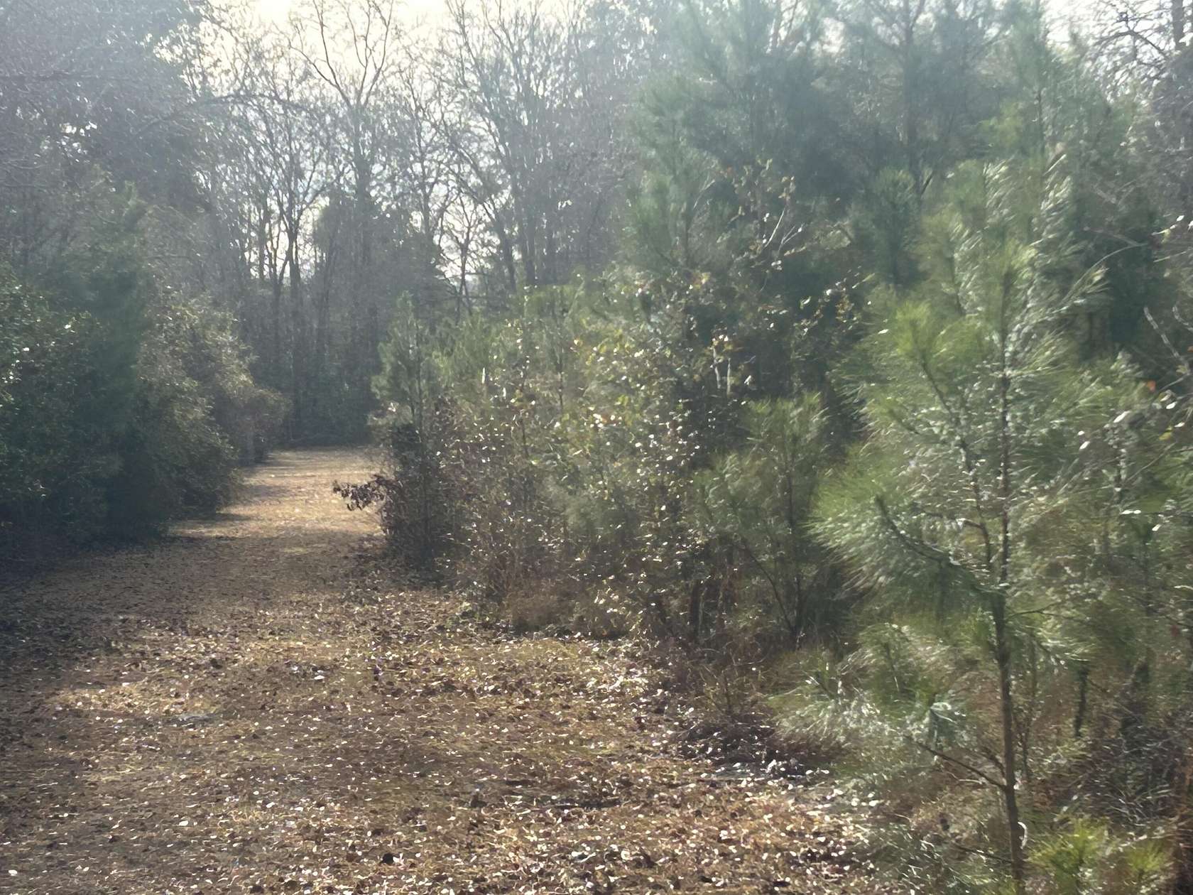 2.38 Acres of Land for Sale in Ravenel, South Carolina