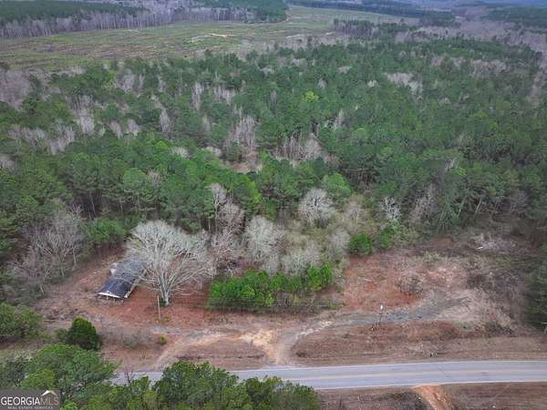 17.2 Acres of Land for Sale in Franklin, Georgia