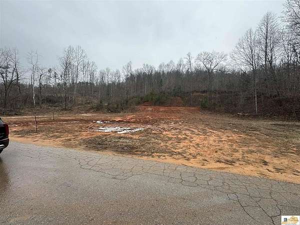 45 Acres of Recreational Land & Farm for Sale in Munfordville, Kentucky