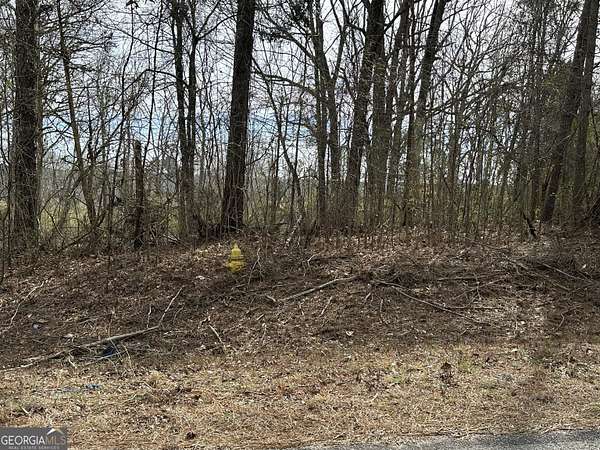 5.35 Acres of Residential Land for Sale in Franklin, Georgia