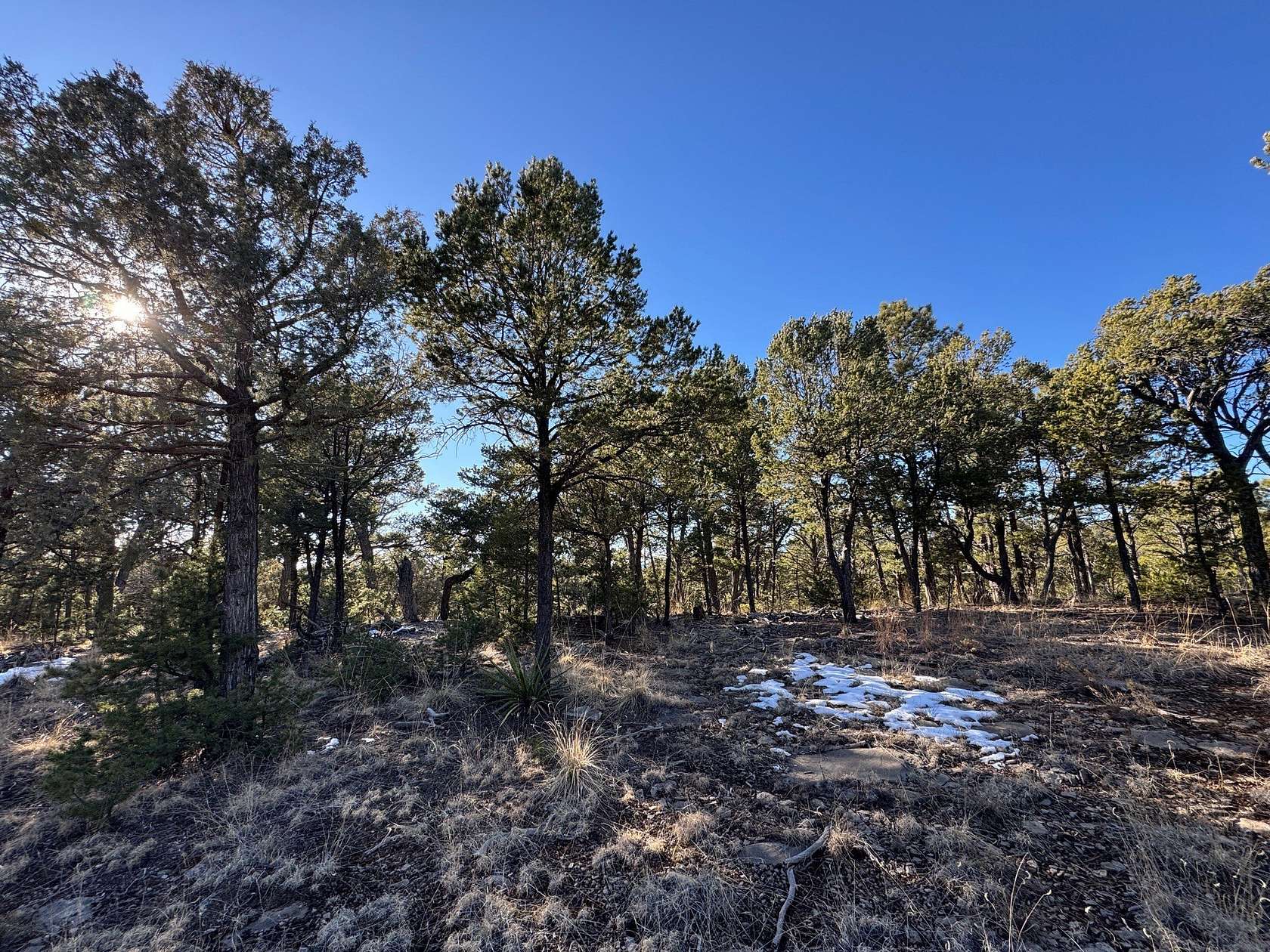 2 Acres of Residential Land for Sale in Pecos, New Mexico