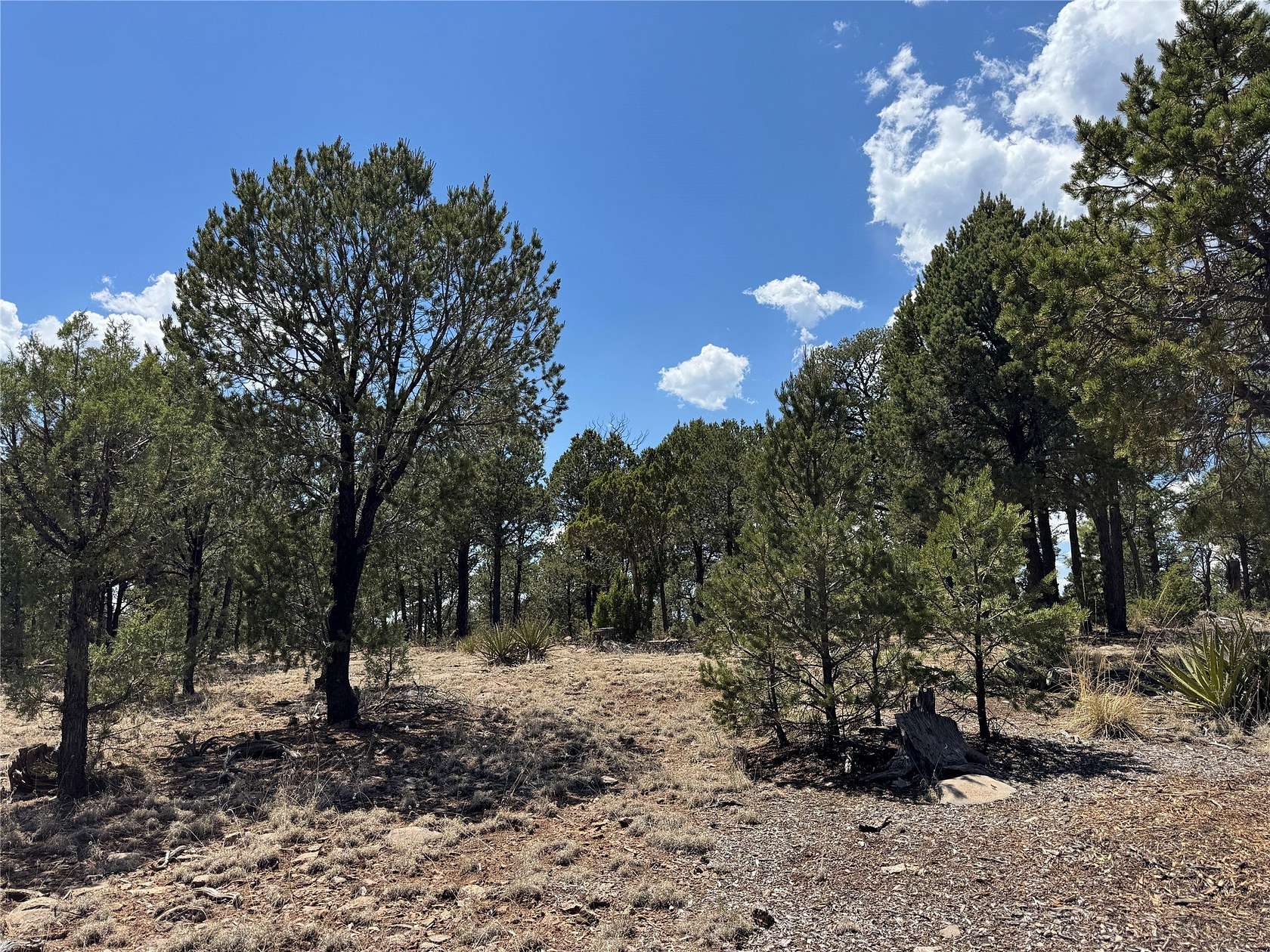 2 Acres of Residential Land for Sale in Pecos, New Mexico
