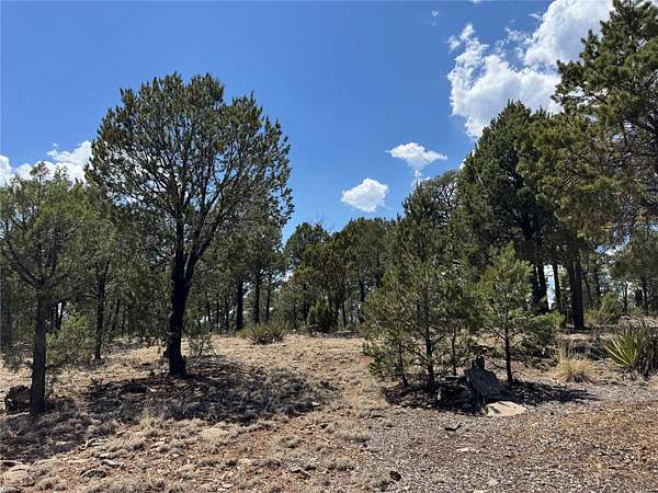 2 Acres of Residential Land for Sale in Pecos, New Mexico